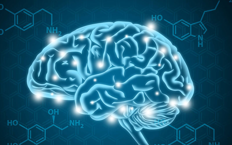 راه های افزایش سروتونین در مغز