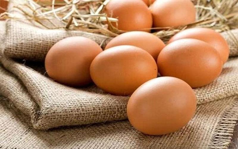 خواص تخم مرغ محلی یا بومی
