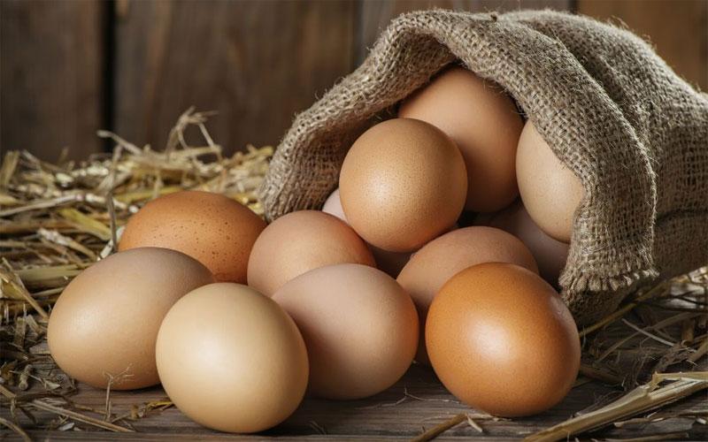 خواص تخم مرغ محلی و کاهش خطر بیماری قلبی