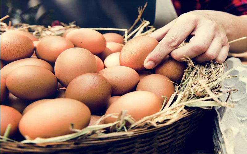 خواص تخم مرغ محلی